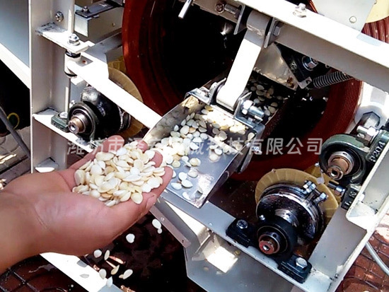 油炸機(jī)廠(chǎng)家
